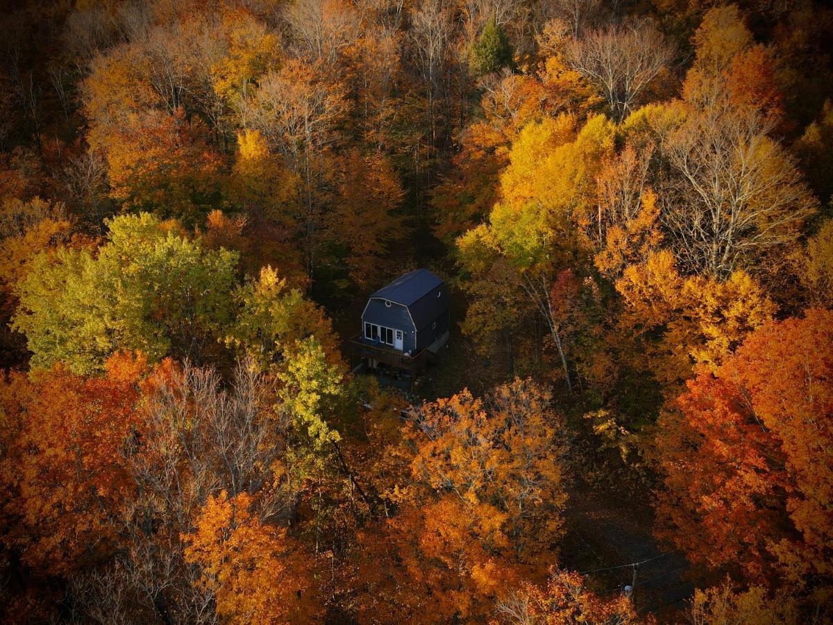 Mandy'S Mountain Chalet Dover Bagian luar foto
